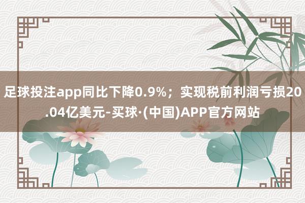 足球投注app同比下降0.9%；实现税前利润亏损20.04亿美元-买球·(中国)APP官方网站