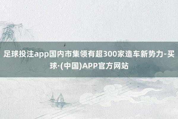 足球投注app国内市集领有超300家造车新势力-买球·(中国)APP官方网站