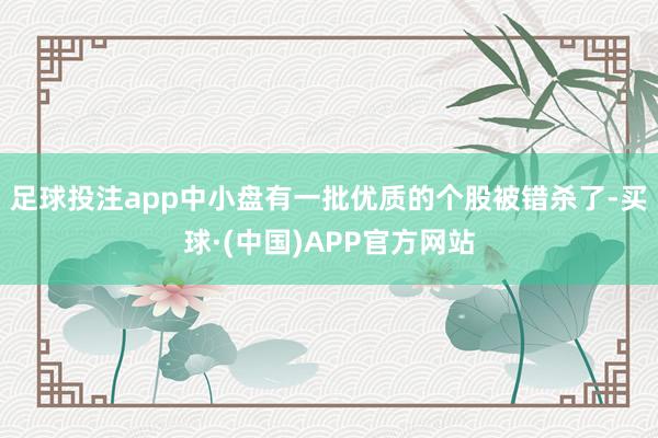 足球投注app中小盘有一批优质的个股被错杀了-买球·(中国)APP官方网站