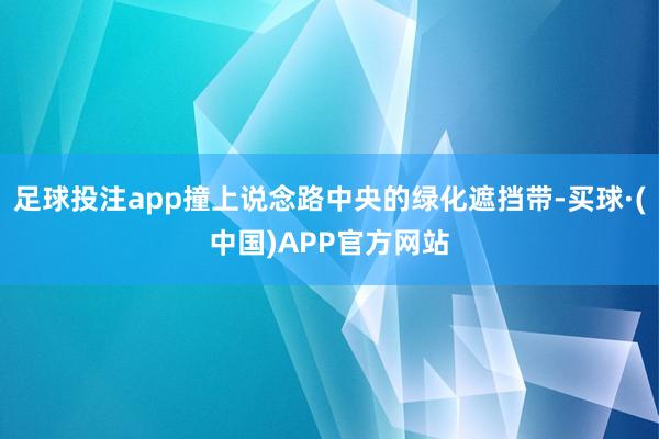 足球投注app撞上说念路中央的绿化遮挡带-买球·(中国)APP官方网站