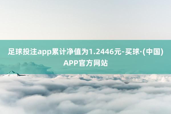 足球投注app累计净值为1.2446元-买球·(中国)APP官方网站