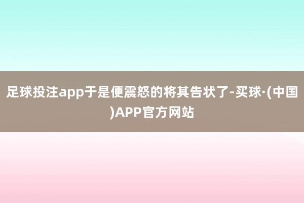 足球投注app于是便震怒的将其告状了-买球·(中国)APP官方网站