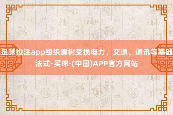 足球投注app组织建树受损电力、交通、通讯等基础法式-买球·(中国)APP官方网站