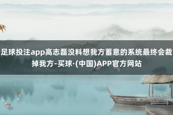 足球投注app高志磊没料想我方蓄意的系统最终会裁掉我方-买球·(中国)APP官方网站