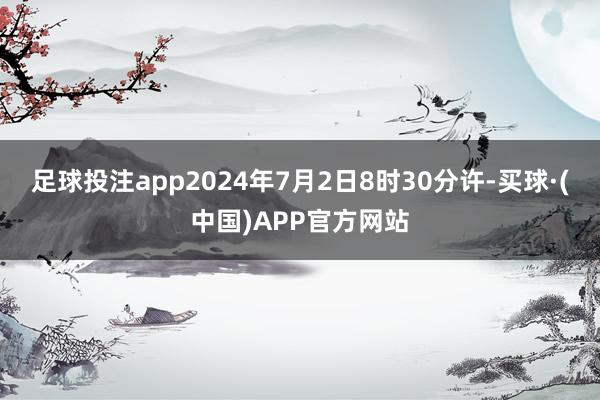 足球投注app2024年7月2日8时30分许-买球·(中国)APP官方网站