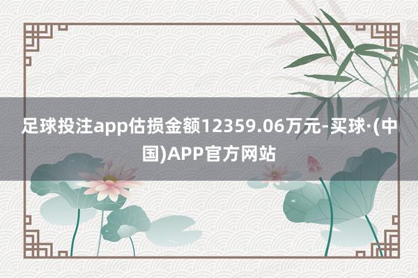 足球投注app估损金额12359.06万元-买球·(中国)APP官方网站