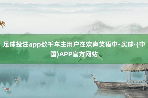 足球投注app数千车主用户在欢声笑语中-买球·(中国)APP官方网站