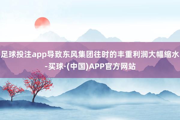 足球投注app导致东风集团往时的丰重利润大幅缩水-买球·(中国)APP官方网站