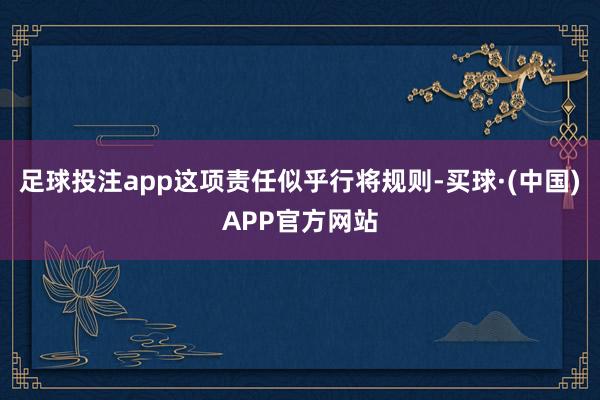 足球投注app这项责任似乎行将规则-买球·(中国)APP官方网站