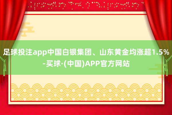 足球投注app中国白银集团、山东黄金均涨超1.5%-买球·(中国)APP官方网站