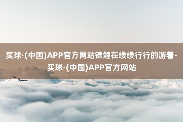 买球·(中国)APP官方网站锦鲤在缕缕行行的游着-买球·(中国)APP官方网站