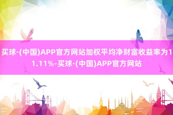 买球·(中国)APP官方网站加权平均净财富收益率为11.11%-买球·(中国)APP官方网站