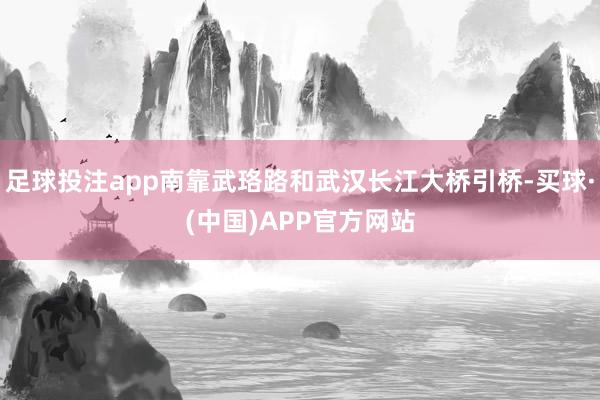 足球投注app南靠武珞路和武汉长江大桥引桥-买球·(中国)APP官方网站