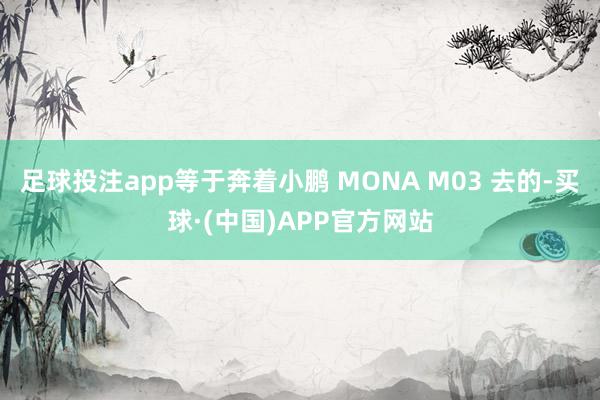 足球投注app等于奔着小鹏 MONA M03 去的-买球·(中国)APP官方网站