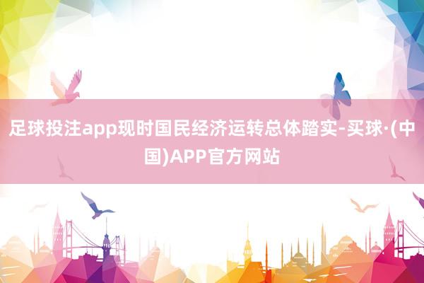 足球投注app现时国民经济运转总体踏实-买球·(中国)APP官方网站