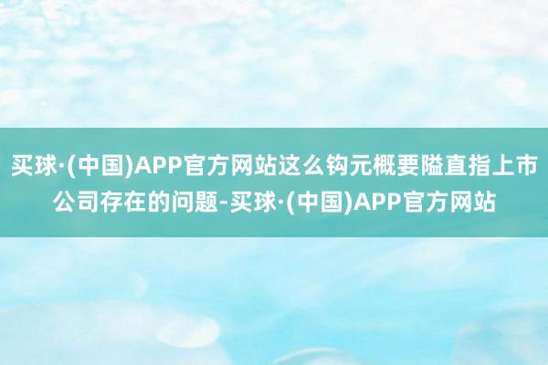 买球·(中国)APP官方网站这么钩元概要隘直指上市公司存在的问题-买球·(中国)APP官方网站