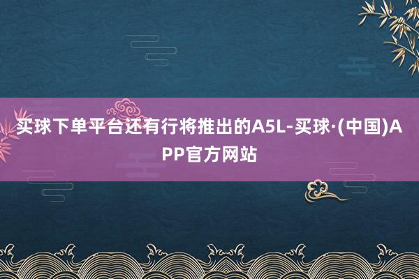 买球下单平台还有行将推出的A5L-买球·(中国)APP官方网站