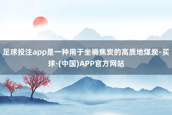 足球投注app是一种用于坐褥焦炭的高质地煤炭-买球·(中国)APP官方网站