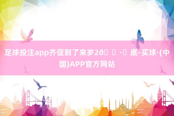 足球投注app齐促到了来岁2🈷️底-买球·(中国)APP官方网站