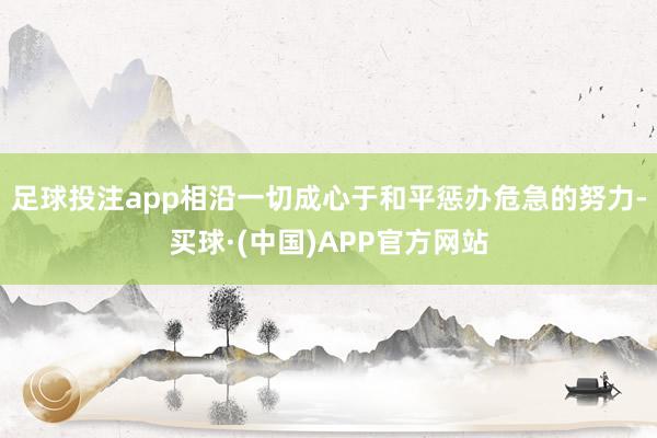 足球投注app相沿一切成心于和平惩办危急的努力-买球·(中国)APP官方网站