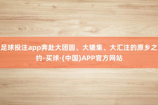 足球投注app奔赴大团圆、大辘集、大汇注的原乡之约-买球·(中国)APP官方网站