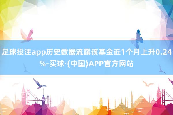 足球投注app历史数据流露该基金近1个月上升0.24%-买球·(中国)APP官方网站