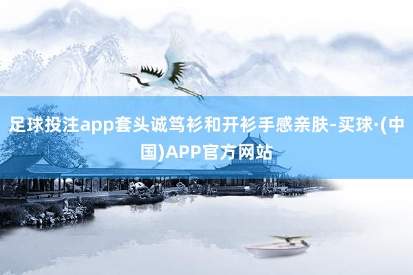 足球投注app套头诚笃衫和开衫手感亲肤-买球·(中国)APP官方网站