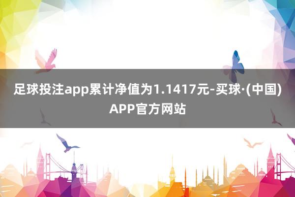 足球投注app累计净值为1.1417元-买球·(中国)APP官方网站