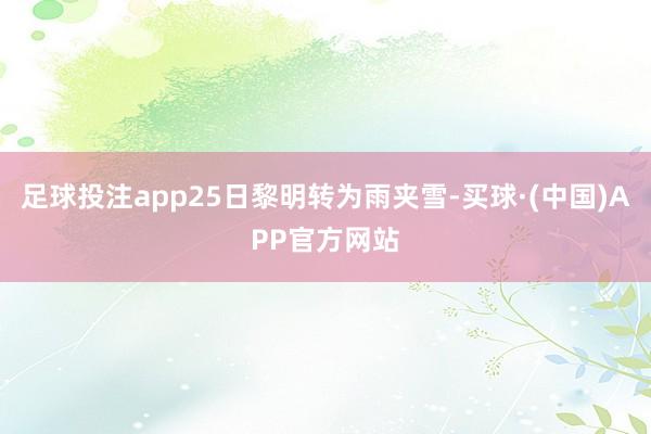 足球投注app25日黎明转为雨夹雪-买球·(中国)APP官方网站