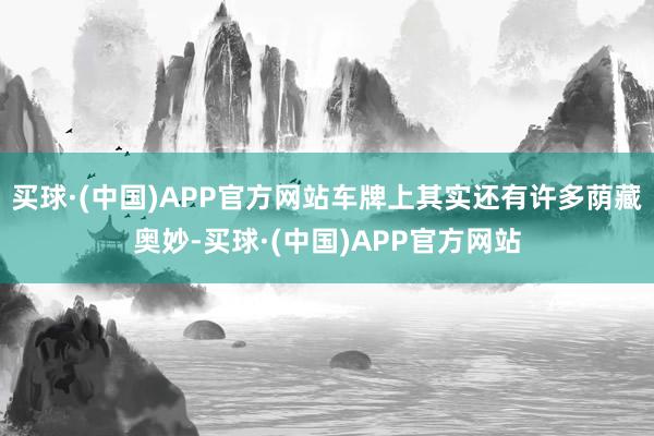 买球·(中国)APP官方网站车牌上其实还有许多荫藏奥妙-买球·(中国)APP官方网站