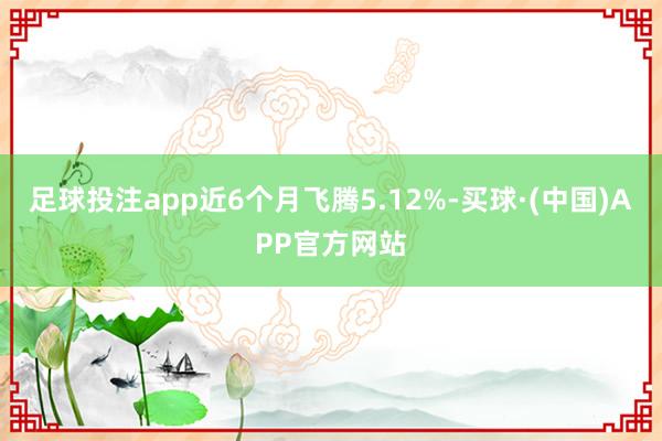 足球投注app近6个月飞腾5.12%-买球·(中国)APP官方网站