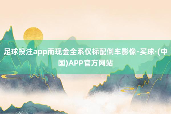 足球投注app而现金全系仅标配倒车影像-买球·(中国)APP官方网站