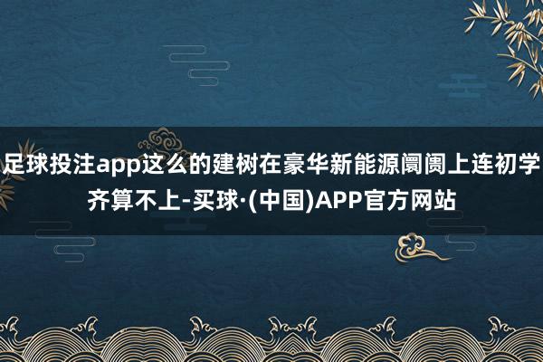 足球投注app这么的建树在豪华新能源阛阓上连初学齐算不上-买球·(中国)APP官方网站