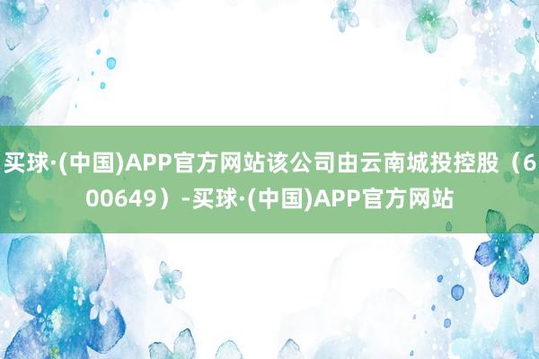 买球·(中国)APP官方网站该公司由云南城投控股（600649）-买球·(中国)APP官方网站