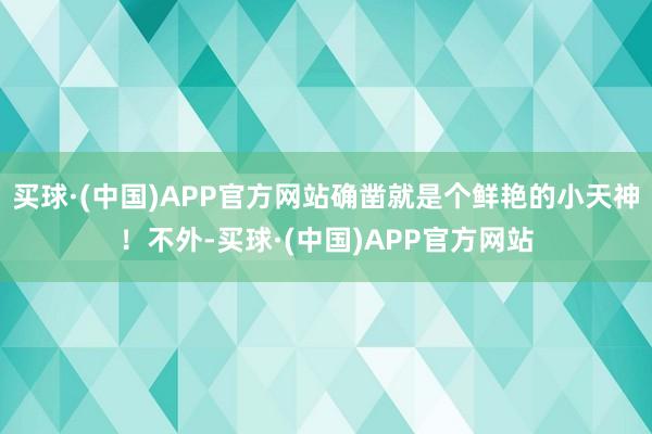 买球·(中国)APP官方网站确凿就是个鲜艳的小天神！不外-买球·(中国)APP官方网站