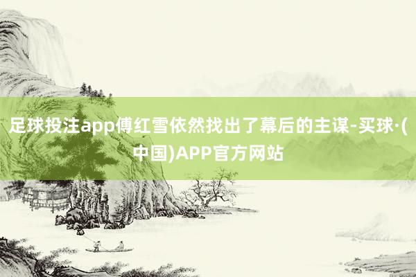 足球投注app傅红雪依然找出了幕后的主谋-买球·(中国)APP官方网站