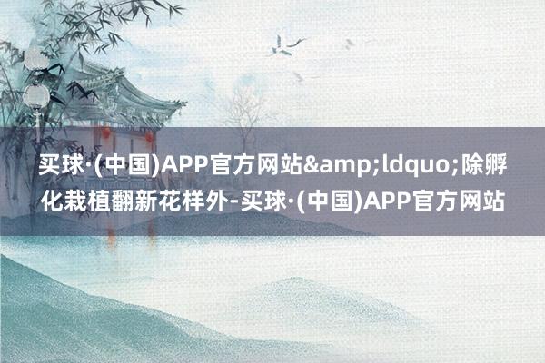 买球·(中国)APP官方网站&ldquo;除孵化栽植翻新花样外-买球·(中国)APP官方网站