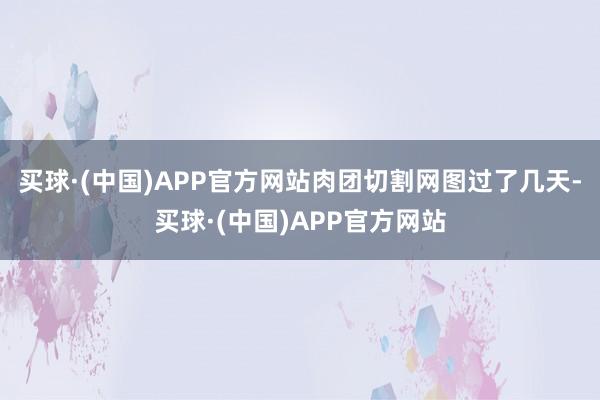 买球·(中国)APP官方网站肉团切割网图过了几天-买球·(中国)APP官方网站