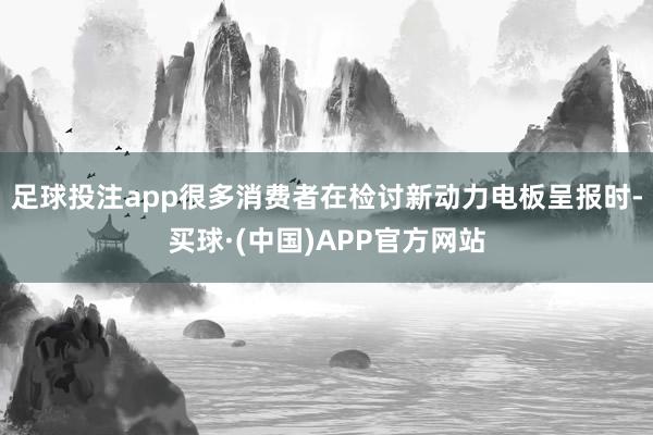 足球投注app很多消费者在检讨新动力电板呈报时-买球·(中国)APP官方网站