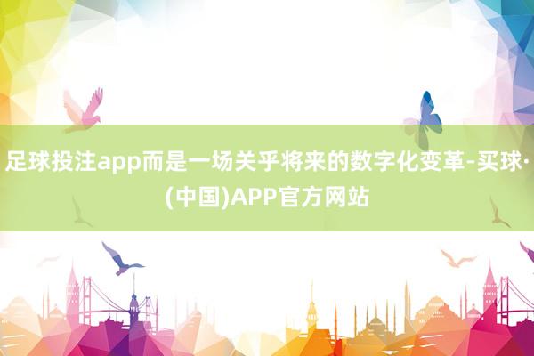 足球投注app而是一场关乎将来的数字化变革-买球·(中国)APP官方网站