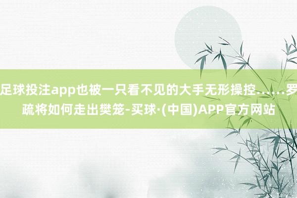 足球投注app也被一只看不见的大手无形操控……罗疏将如何走出樊笼-买球·(中国)APP官方网站