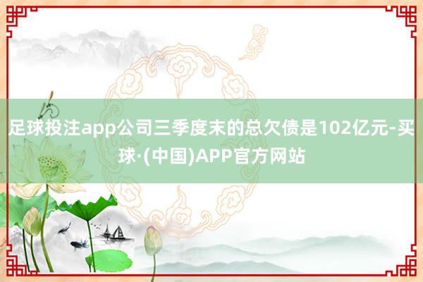 足球投注app公司三季度末的总欠债是102亿元-买球·(中国)APP官方网站