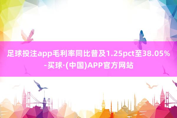 足球投注app毛利率同比普及1.25pct至38.05%-买球·(中国)APP官方网站