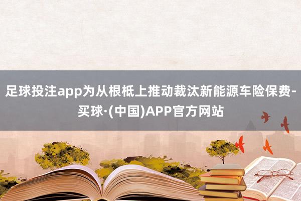 足球投注app为从根柢上推动裁汰新能源车险保费-买球·(中国)APP官方网站