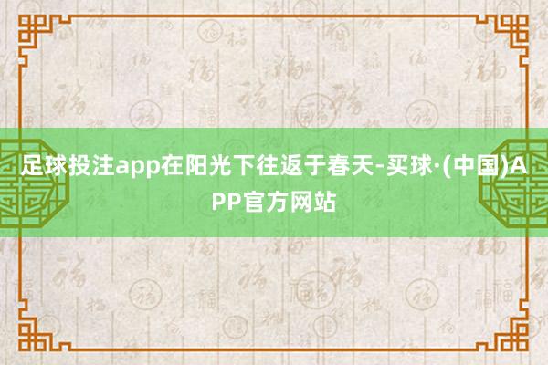 足球投注app在阳光下往返于春天-买球·(中国)APP官方网站