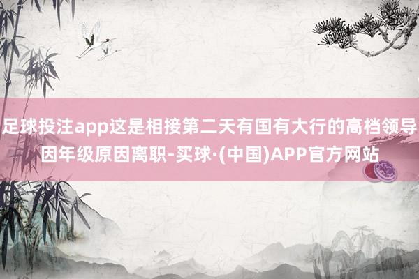 足球投注app这是相接第二天有国有大行的高档领导因年级原因离职-买球·(中国)APP官方网站