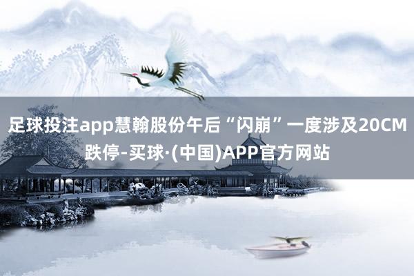 足球投注app慧翰股份午后“闪崩”一度涉及20CM跌停-买球·(中国)APP官方网站