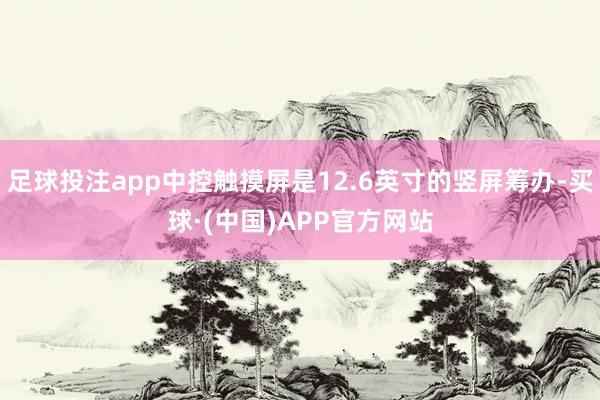 足球投注app中控触摸屏是12.6英寸的竖屏筹办-买球·(中国)APP官方网站