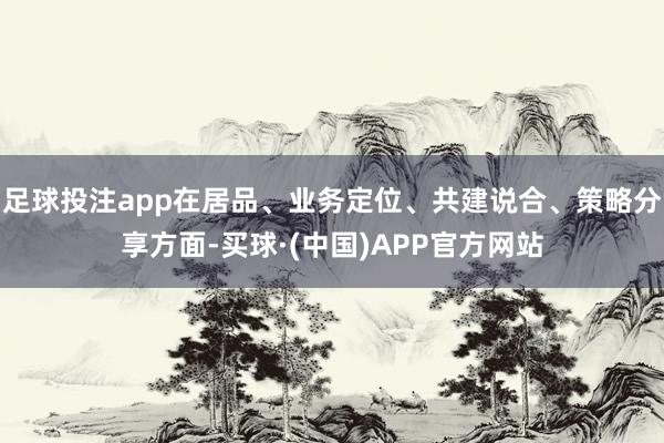 足球投注app在居品、业务定位、共建说合、策略分享方面-买球·(中国)APP官方网站