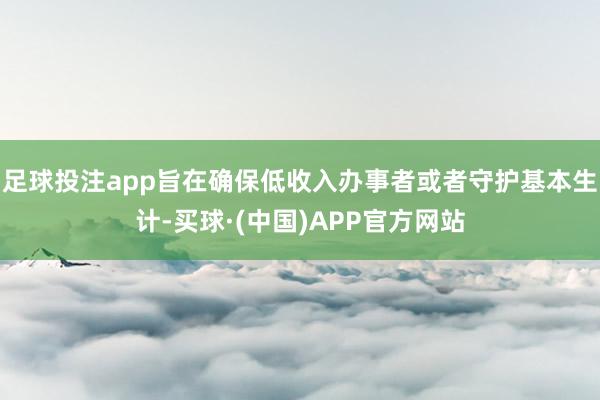 足球投注app旨在确保低收入办事者或者守护基本生计-买球·(中国)APP官方网站